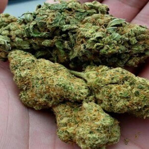 6836b860d4f54645cde27b2b42Sour Diesel