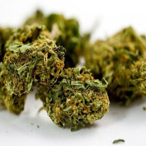 6836b8c5c3f26645cdd6f3e084Master Kush