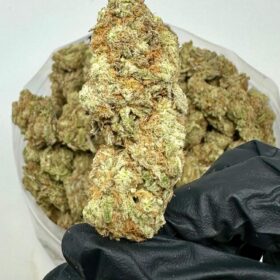 Super Lemon Haze 2