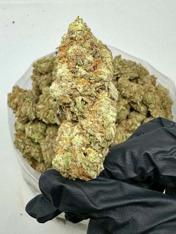 Super Lemon Haze 2